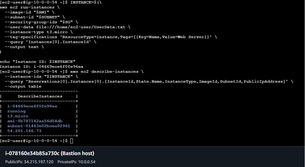 Figura 6